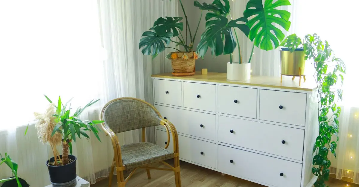 Comment intégrer des meubles écoresponsables dans votre déco